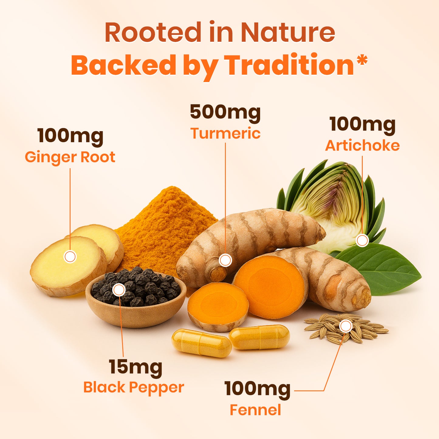 Turmeric Supplement with Ginger Root and BioPerine